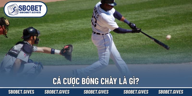 Hiểu đúng về cá cược bóng chày