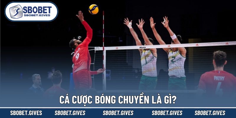 Hiểu đúng về cá cược bóng chuyền