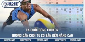Cá Cược Bóng Chuyền - Hướng Dẫn Chơi Từ Cơ Bản Đến Nâng Cao