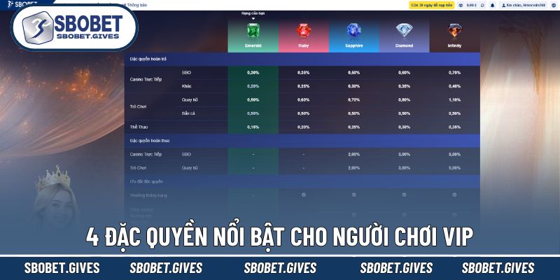 Lý do người chơi nên cố gắng trở thành hội viên VIP