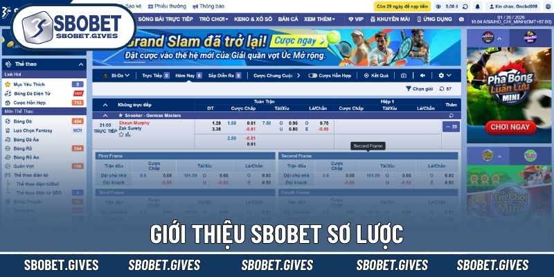 Tổng quan về giới thiệu SBOBET 