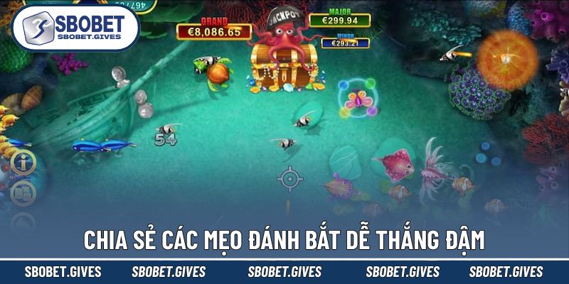 Bỏ túi những bí kíp bắt mồi đỉnh cao