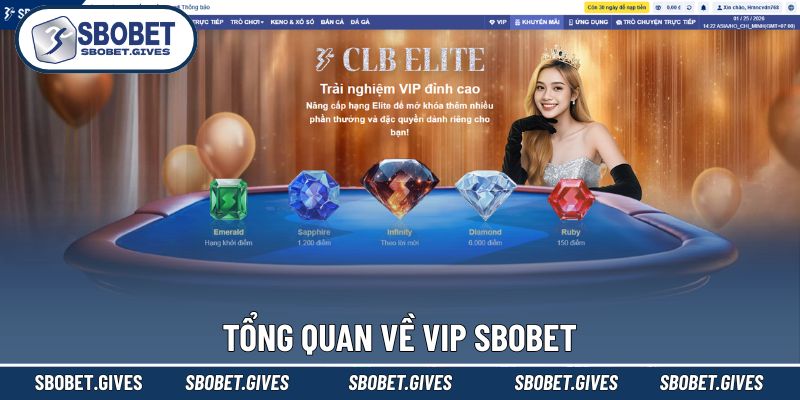 Sơ lược chung về VIP SBOBET